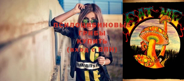 тгк Алексеевка