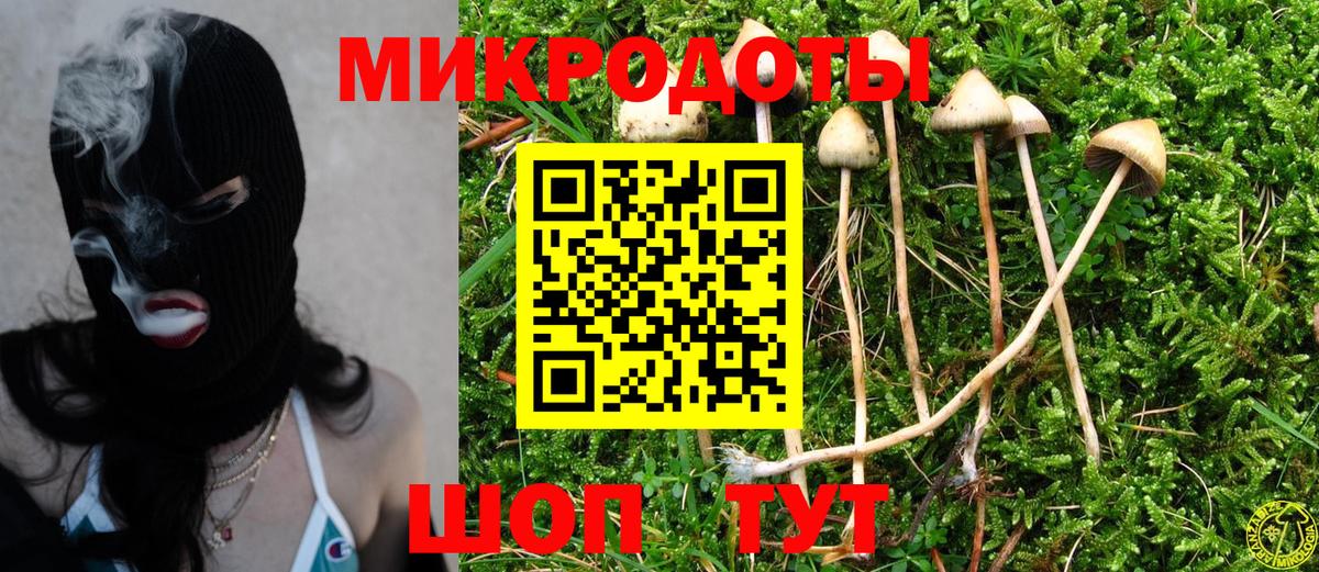 Псилоцибиновые грибы GOLDEN TEACHER Дивногорск