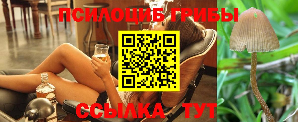 Дивногорск  закладки  Вход с VPN  Псилоцибиновые грибы MAGIC MUSHROOMS 